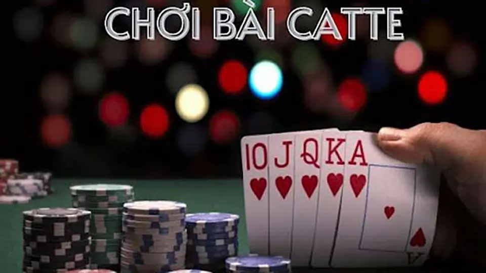 catte online